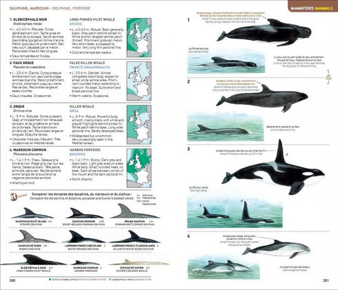 Identifying Animals, All Verterates of France, Benelux, Great Britain and Ireland - Geniez,M. ym. 2012